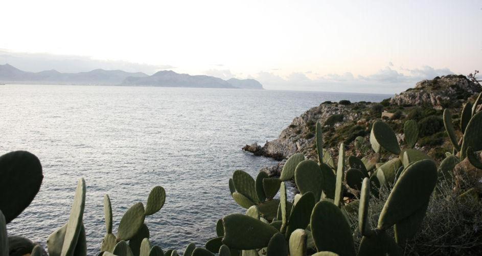 Blue Island Villa Caterina Casteldaccia Dış mekan fotoğraf